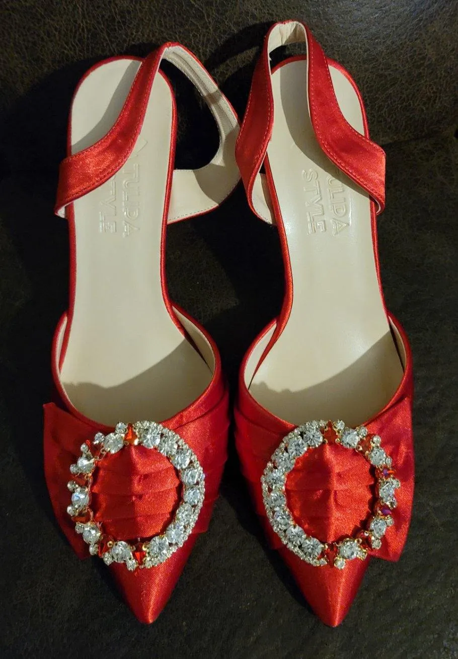 CLASSY RED MATCHING SHOE SET